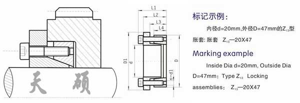 Z13型脹緊聯(lián)結套