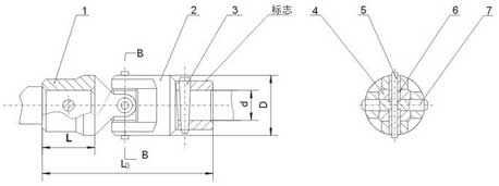 WSD型單十字軸萬(wàn)向聯(lián)軸器結(jié)構(gòu)圖